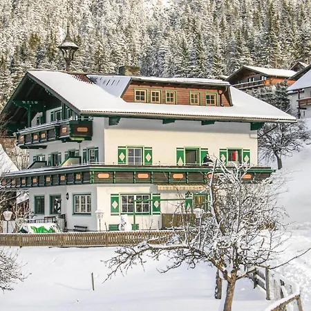 Apartment Gut Ausgestattete Ferienw Schladming